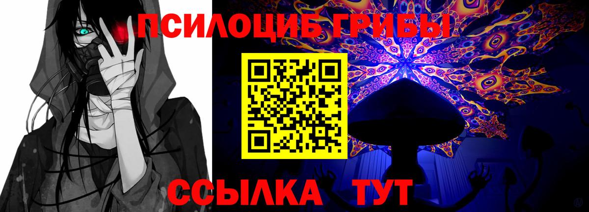 Псилоцибиновые грибы GOLDEN TEACHER  Вход с VPN  Кинель 